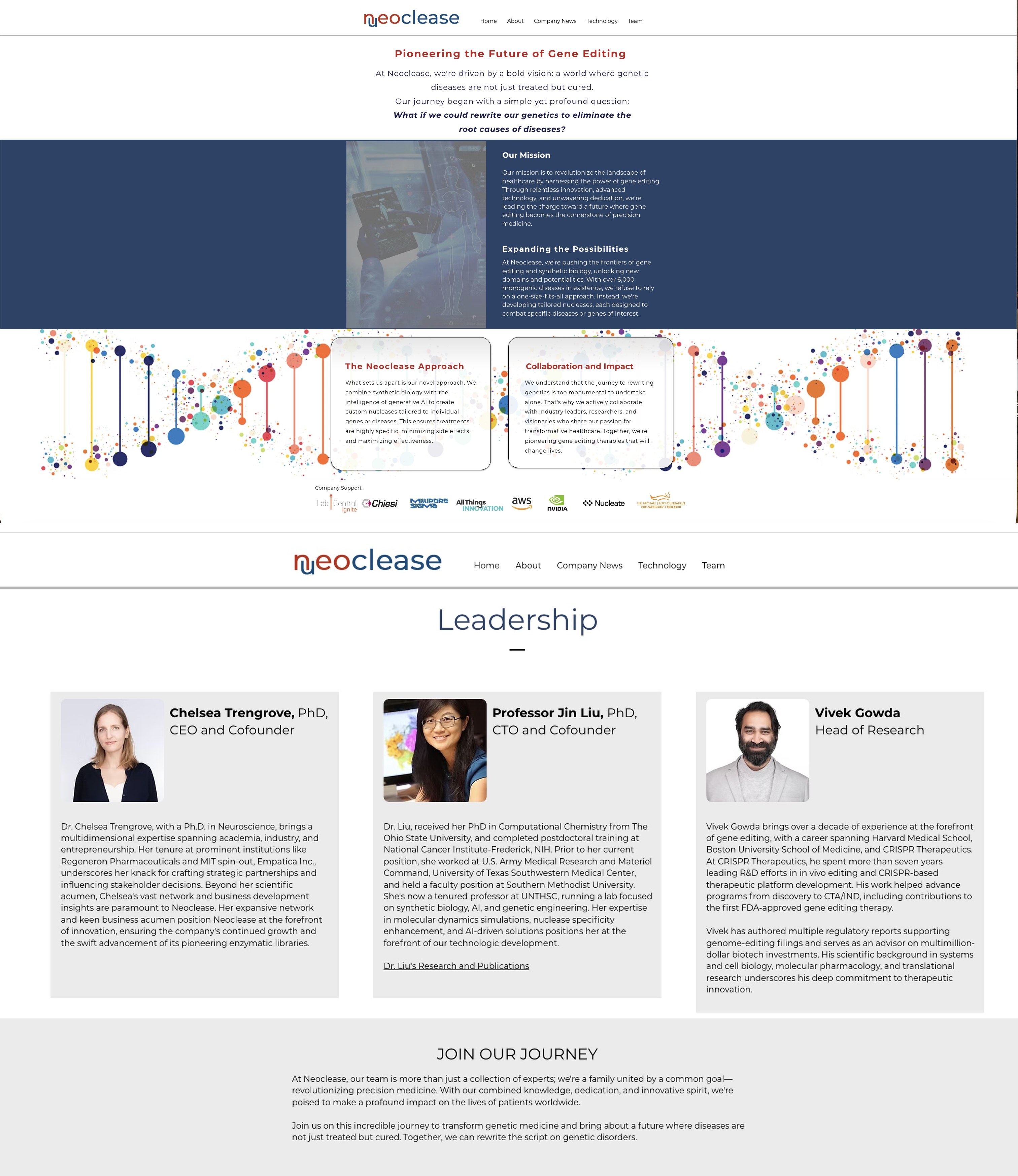Old Neoclease About and Team: the company story and the people split across two text-heavy pages that repeated each other.